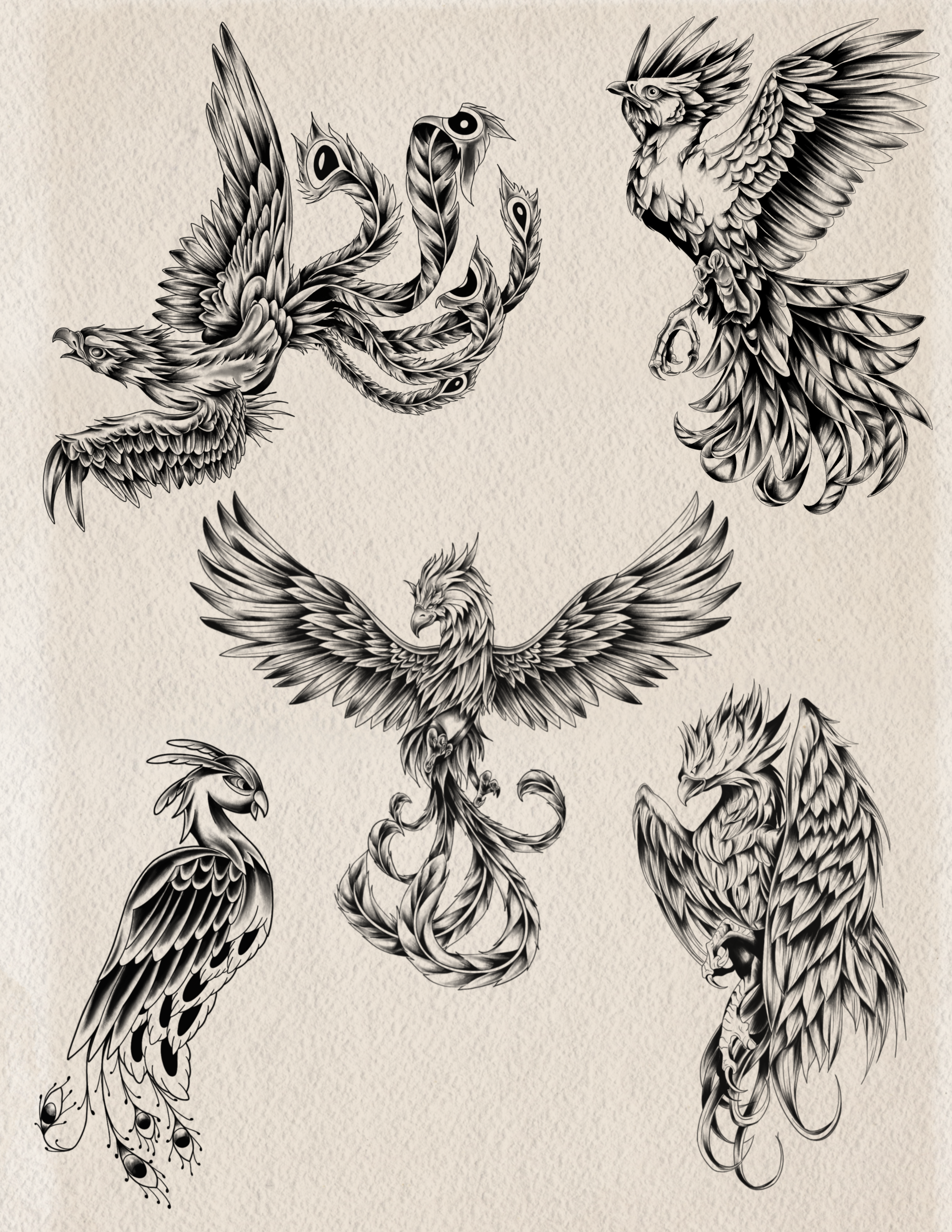 Flash Design 33